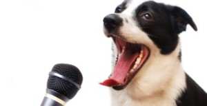 Dog-with-Microphone-448x230